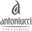 Antoniucci